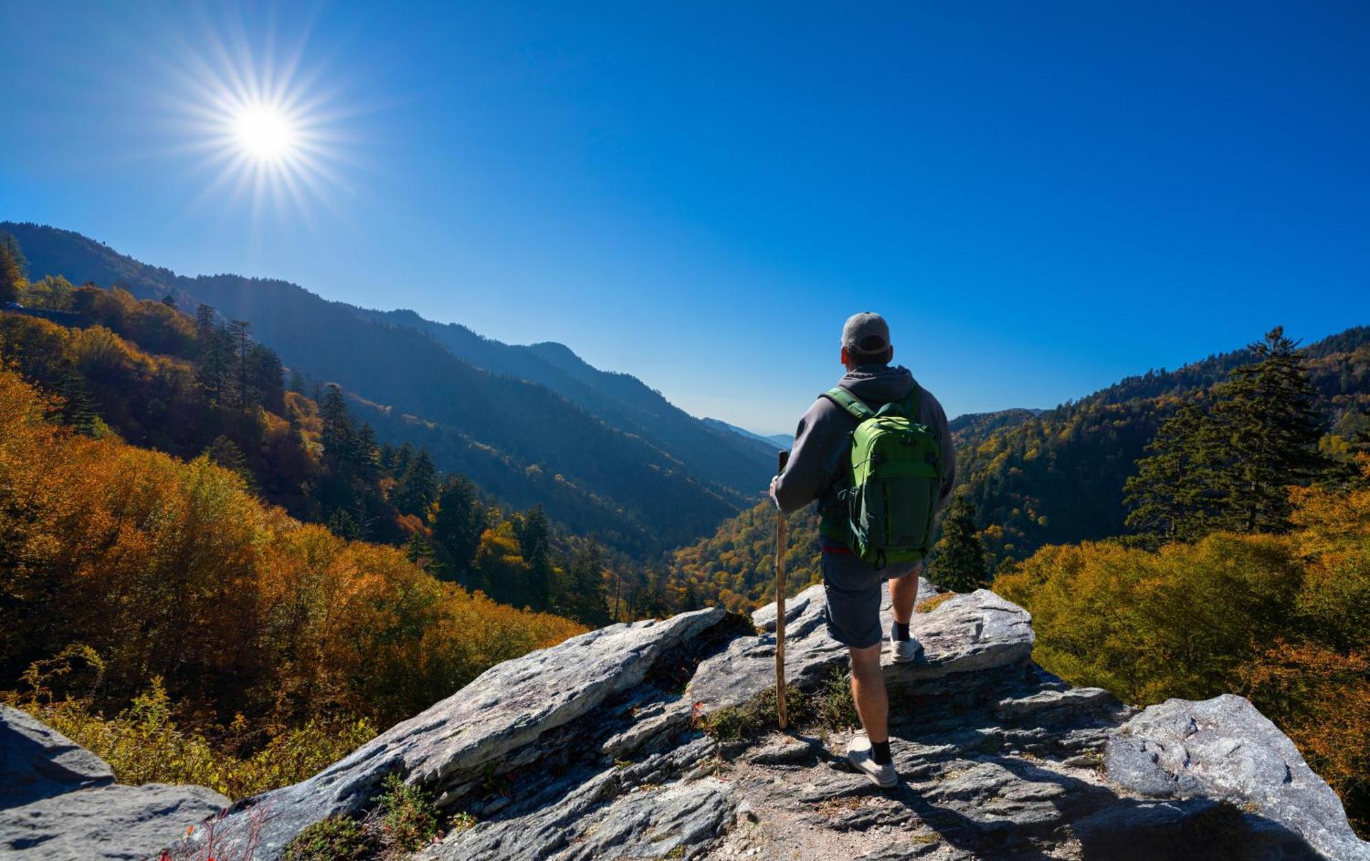 Whispering Winds, Hot Tub, Game Room, Wifi, 1089 Free Tickets Each Paid Day, Dollywood And More Гатлинбург Экстерьер фото