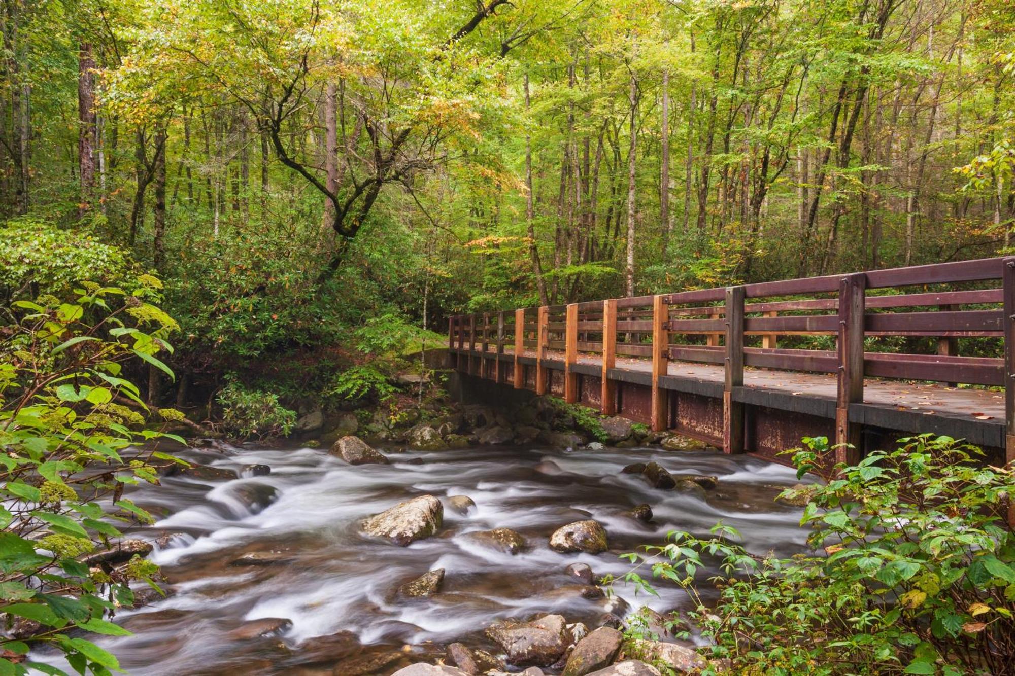 Whispering Winds, Hot Tub, Game Room, Wifi, 1089 Free Tickets Each Paid Day, Dollywood And More Гатлинбург Экстерьер фото